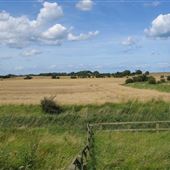 Views of Holderness