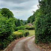 Rural Road, Symonds Yat to King Arthur's Cave