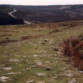 Wheeldale Moor - Roman Road