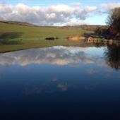 Beanhill Farm
