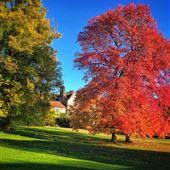 Hambleden Manor