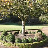 Croft Cottage - The Ayot Estate