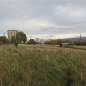 Cruddas Park/Low Elswick