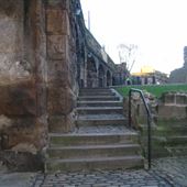 Dog Leap Stairs