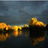 Gaywoods Fishery