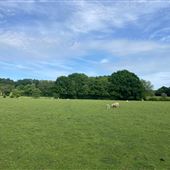 A - Mons Farm