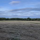 Part Hoads Wood