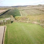 Roughway Farm