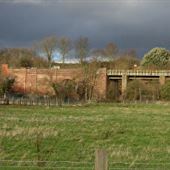 Hambrook Marshes