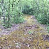 Holborough Quarry
