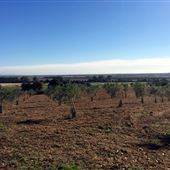 A - Huggit's Farm
