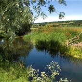 Conningbrook Lakes