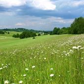 KCC Country Parks - Lullingstone