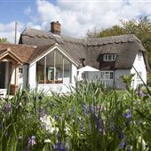 Thatched Cottage