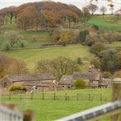 Stag Farm