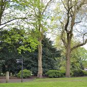 Bank Park
