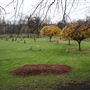 General Cemetery