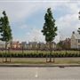 Fairfield Park