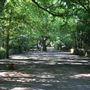 Apsley & Wavendon Woods