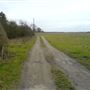 Chippenham Fen