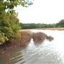 FE - Isle of Wight