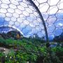 Eden Project
