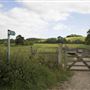 Little Wittenham