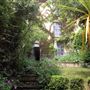 Wisteria House