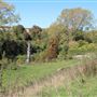 Letcombe Valley Nature Reserve