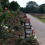 Chalkwell Park