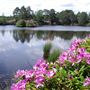 Axe Pond