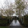 Freckleton Park