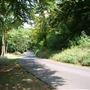 FE - Wendover Wood