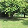 Vicarage Road open space