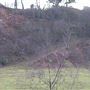 Mouldsworth Quarry - Hill n Ditch 4x4