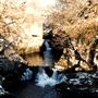 Beezley Falls and Rival Force, Ingleton Waterfalls