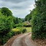 Rural Road, Symonds Yat to King Arthur's Cave
