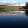 Beanhill Farm