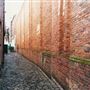Wilsons Court