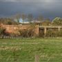 Hambrook Marshes