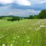 KCC Country Parks - Lullingstone