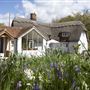 Thatched Cottage