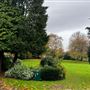 Goodlands Gardens