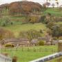 Stag Farm
