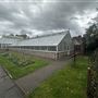 Walton Hall glasshouses