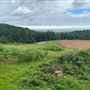 Combe Sydenham Country Park & Forest