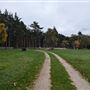 FE - Cannock Chase