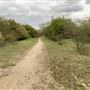 TARMAC - Harper Lane
