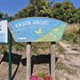 Anson Grove