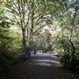 California Country Park, Wokingham